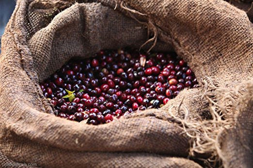 Coffee Club Subscription