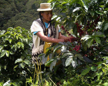 Coffee Club Subscription