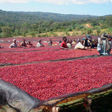 Coffee Club Subscription