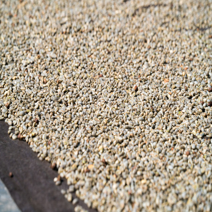 Sumatra Aceh
