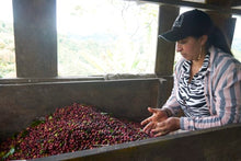 Colombia El Tambo