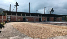 Decaf Colombia EA