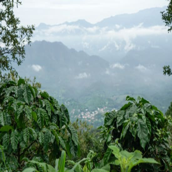 El Salvador