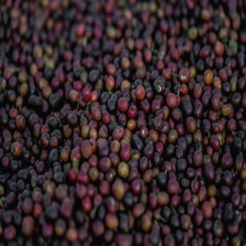 Ethiopia Yirgacheffe Natural